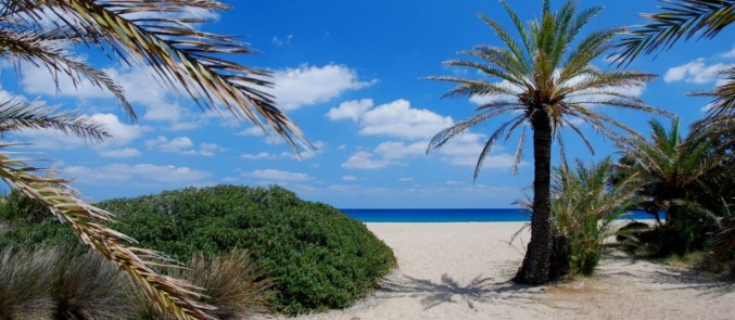 The palm forest of Vai is, indeed, one of the greatest attractions in Crete